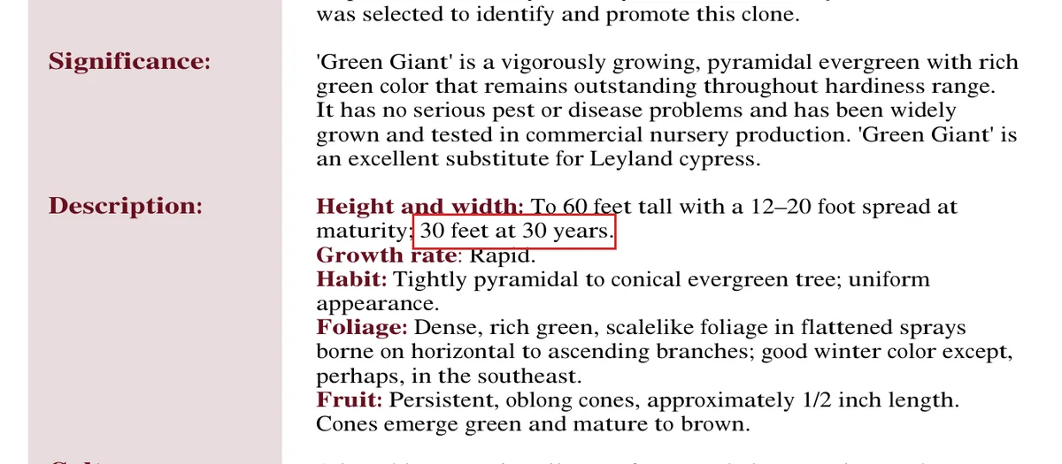 U.S. National Arboretum sheet for Thuja Green Giant with '30 feet at 30 years' highlighted
